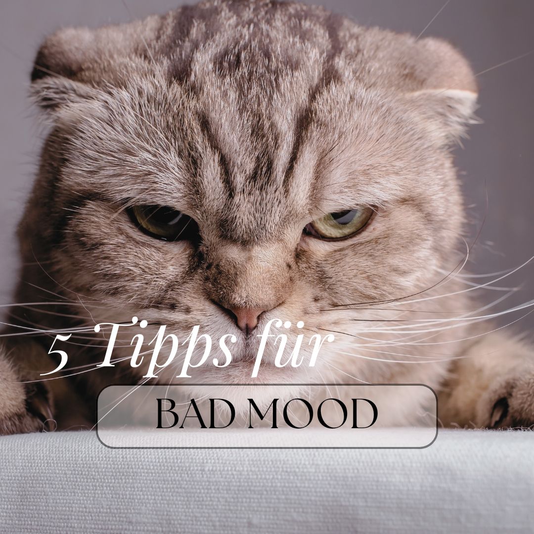 5 Tipps für Bad Mood